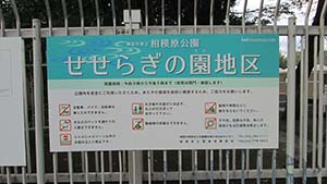 クリックして拡大